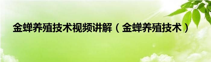 金蝉养殖技术讲解（金蝉养殖技术）(图1)