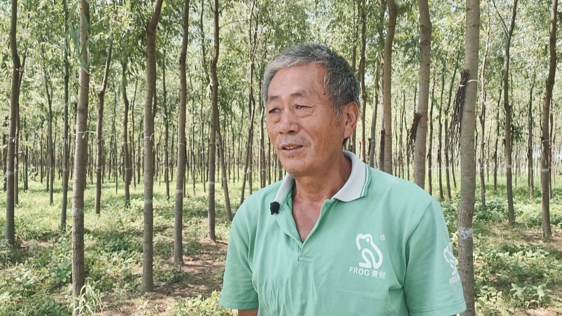 林下养蝉“钱景”好铺就村民致富路(图3)