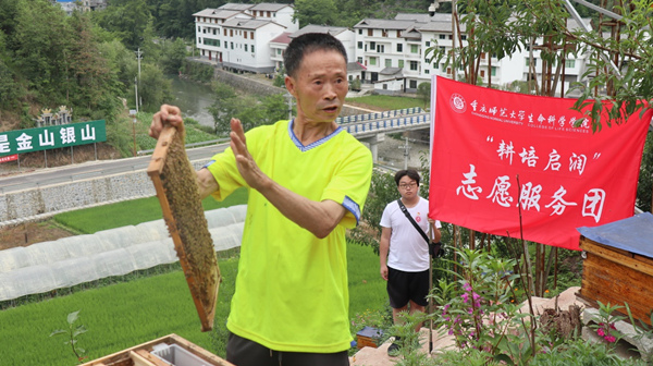 智慧養蜂興隆有“蜜”方(图1)