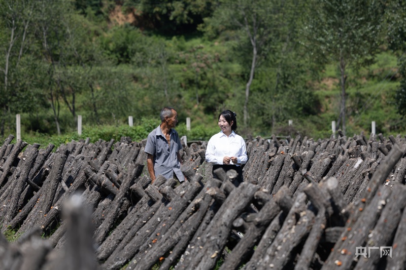 我家就在河边住来历山“望仙”记得打卡“山水居”(图5)