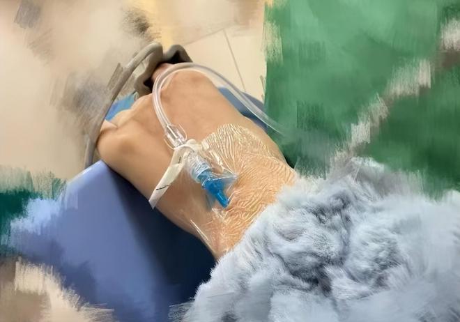 宠物猫被烘干70分钟致死主人绝望自杀未遂宠物店回应震惊众人(图18)